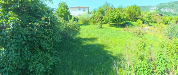 🌳 Terrain arboré de 606 m² – Un écrin de verdure au cœur de Saint-Nazaire-en-Royans (26190)