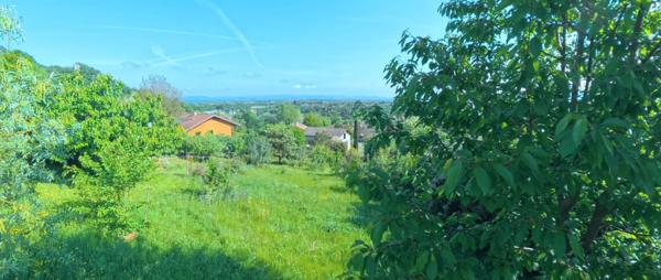 🌳 Terrain arboré de 606 m² – Un écrin de verdure au cœur de Saint-Nazaire-en-Royans (26190)