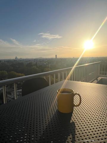 SPLENDIDE APPARTEMENT AU DERNIER ETAGE - VUE TOUR EIFFEL ET SACRE COEUR