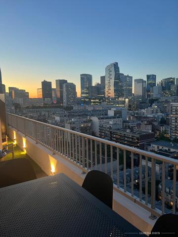 SPLENDIDE APPARTEMENT AU DERNIER ETAGE - VUE TOUR EIFFEL ET SACRE COEUR