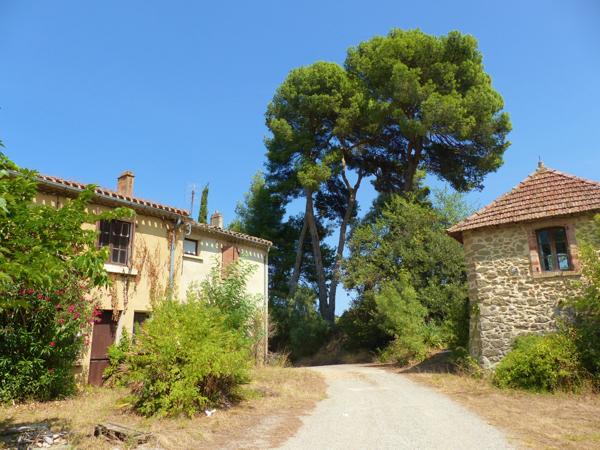 Commerce à vendre à Couffoulens (11250) - Aude