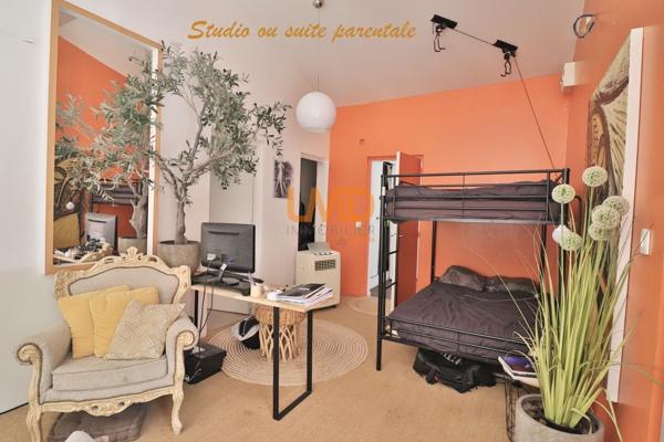 Saint Maximin: maison T5 + studio + dépendance