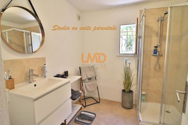 Saint Maximin: maison T5 + studio + dépendance
