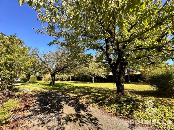 MAISON SUR SOUS-SOL AVEC PISCINE ET JARDIN ARBORÉ