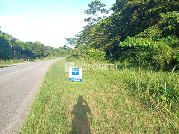 Achat terrain Mana - 20660 m² - 92 000 €