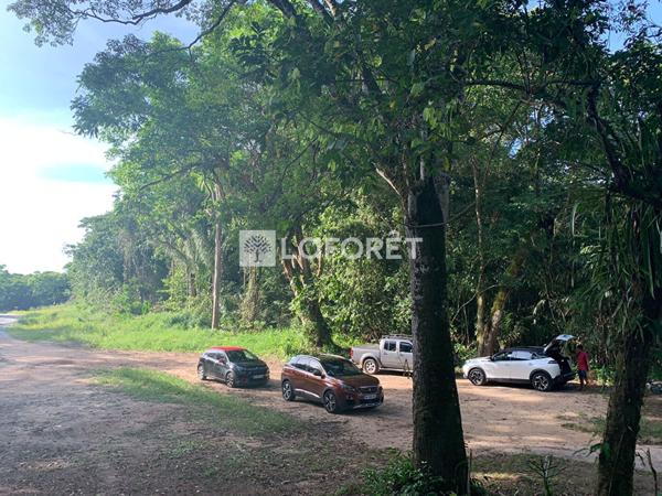 Achat terrain Mana - 20660 m² - 92 000 €