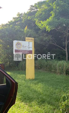 Achat terrain Mana - 20660 m² - 92 000 €