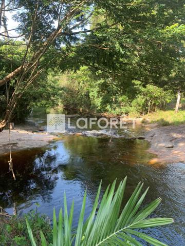 Achat terrain Mana - 20660 m² - 92 000 €