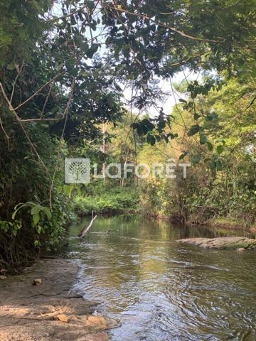 Achat terrain Mana - 20660 m² - 92 000 €