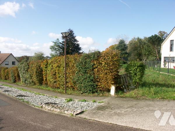 Une parcelle de terrain à bâtir