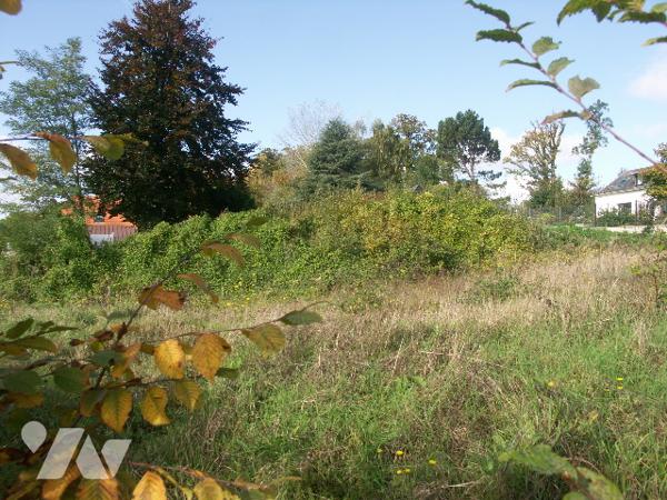 Une parcelle de terrain à bâtir