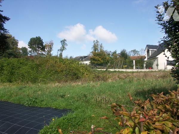 Une parcelle de terrain à bâtir