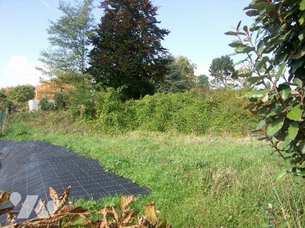 Une parcelle de terrain à bâtir