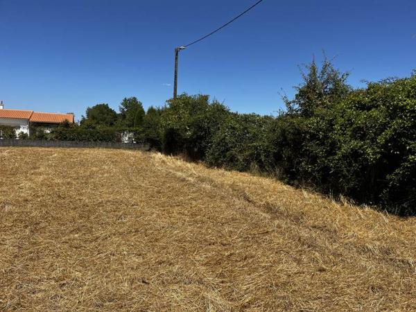 Terrain à vendre |  Frontenay-Rohan-Rohan |  2149 m²