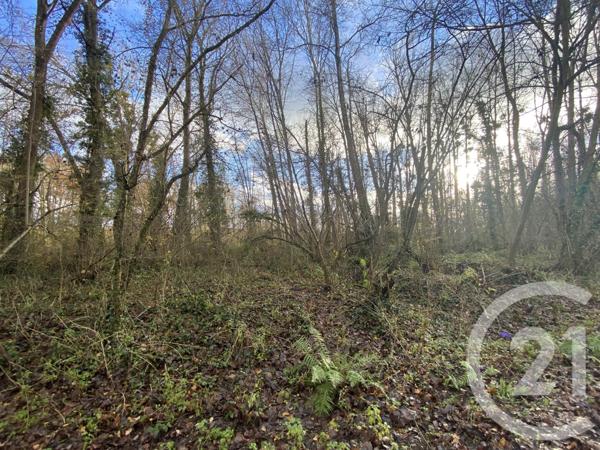 Terrain à vendre  13939 m2 MARTIZAY - 36