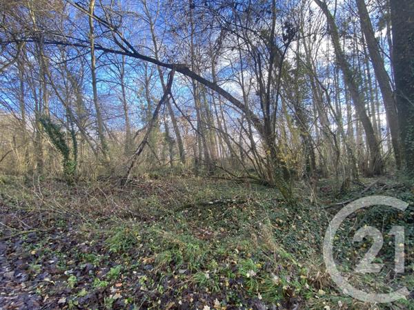 Terrain à vendre  13939 m2 MARTIZAY - 36