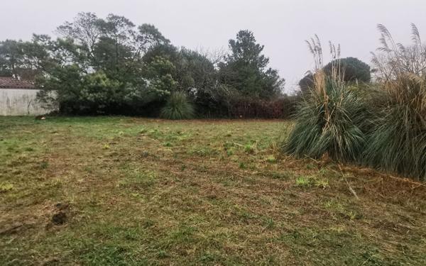 Terrain à vendre    Les Portes-en-Ré