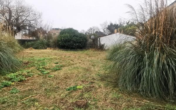 Terrain à vendre    Les Portes-en-Ré