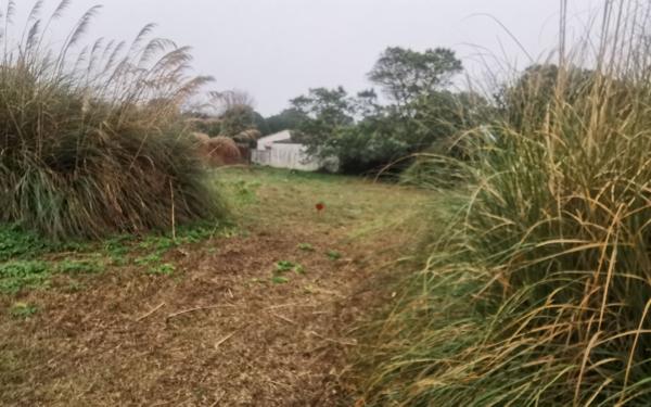 Terrain à vendre    Les Portes-en-Ré