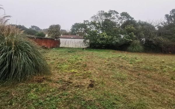 Terrain à vendre    Les Portes-en-Ré