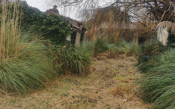 Terrain à vendre    Les Portes-en-Ré