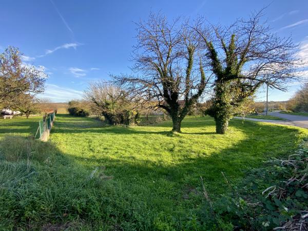Terrain constructible