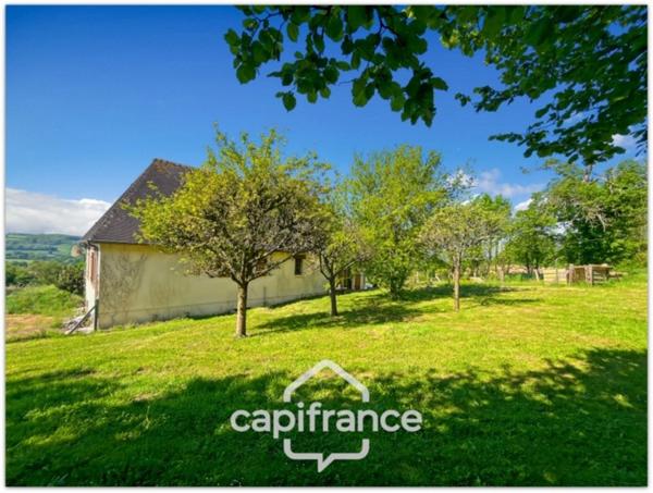 Pavillon de 126 m² avec terrain de 5 240,00 m² , sous-sol complet.