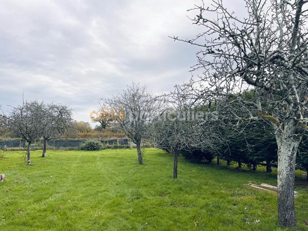 Vente Maison135 m² - 8 Pièces - LES MOITIERS EN BAUPTOIS (50360)