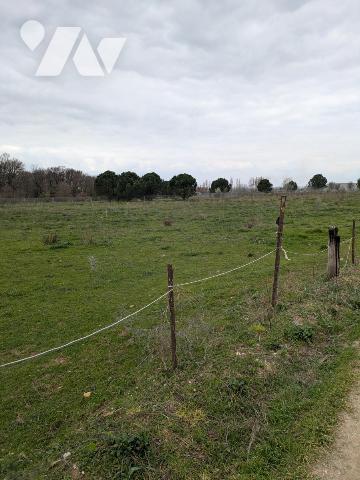 Parcelle en nature de Terre d'une superficie de 1 hectares 24 ares et 96 centiares (12496 m²)