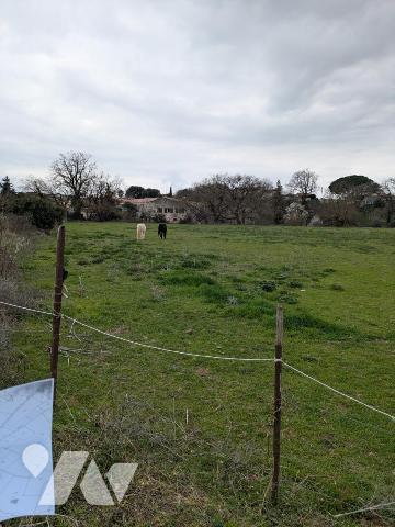Parcelle en nature de Terre d'une superficie de 1 hectares 24 ares et 96 centiares (12496 m²)