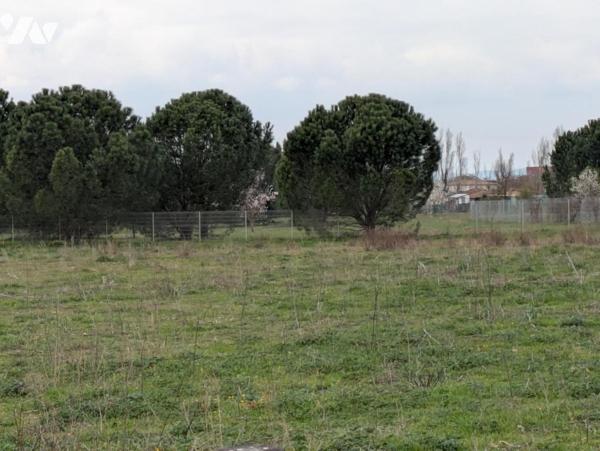 Parcelle en nature de Terre d'une superficie de 1 hectares 24 ares et 96 centiares (12496 m²)
