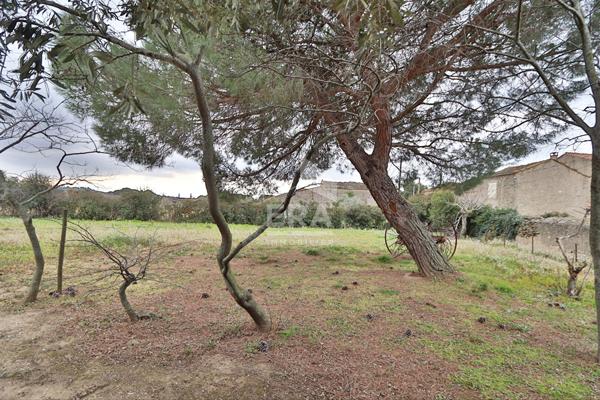 Maison Laure Minervois 4 pièce(s) 105 m2