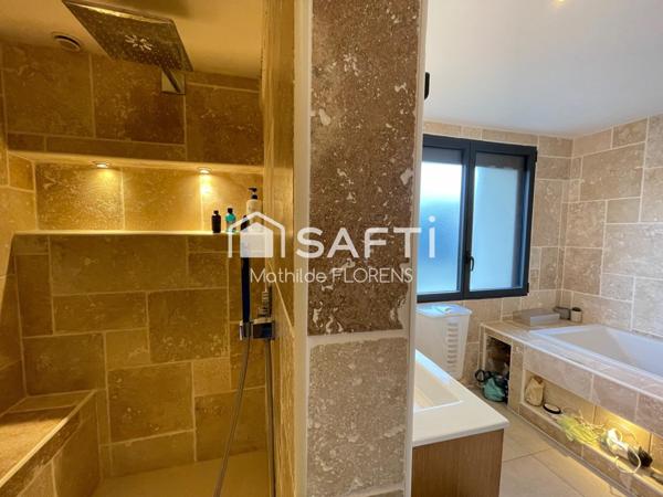 Belle toulousaine familiale avec piscine double garage et dépendance