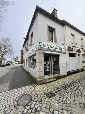 Maison à vendre à Ploërmel dans le Morbihan (56800), ref : VM3343-56044