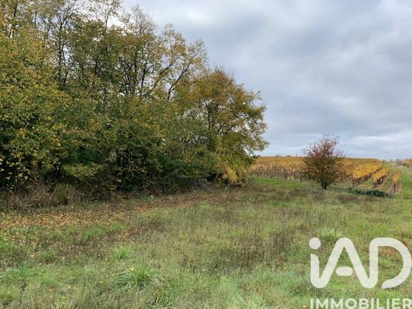 Terrain à vendre 1 450 m² Doué-en-Anjou