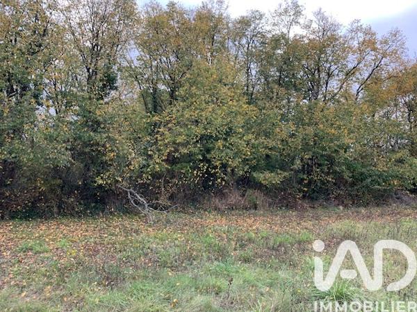 Terrain à vendre 1 450 m² Doué-en-Anjou