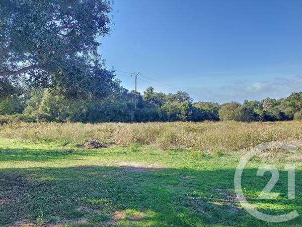 Terrain à vendre  12588 m2 FIGARI - 201