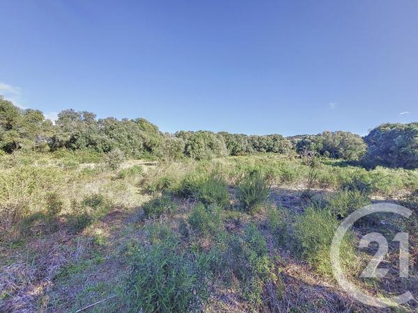 Terrain à vendre  12588 m2 FIGARI - 201