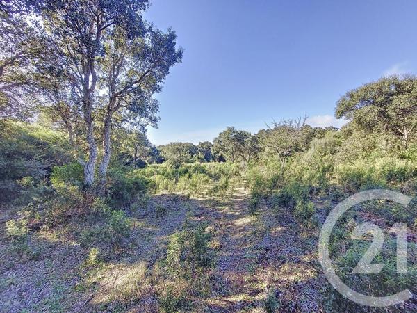 Terrain à vendre  12588 m2 FIGARI - 201