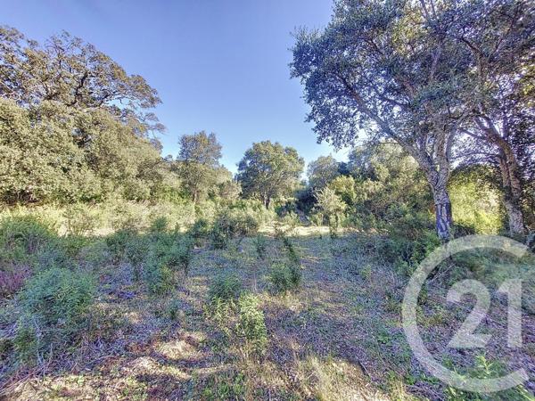 Terrain à vendre  12588 m2 FIGARI - 201