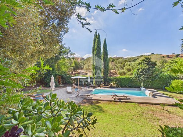 Maison familiale avec pisicine à oletta