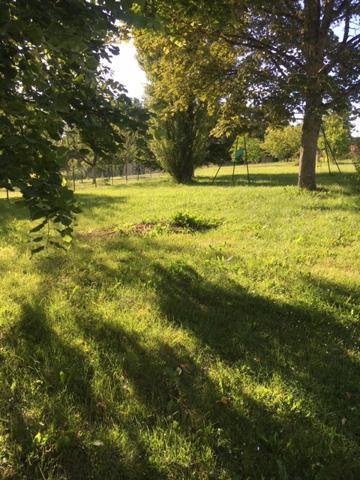 Menetou-Salon (18510) V E N D U Maison 6 pièces de 106m2 Garage sur parcelle arborée de 2013m2