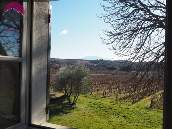 Valréas (84600) Propriété viticole en Provence