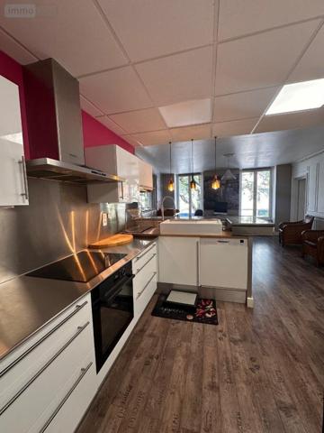 Appartement rénové à vendre à Belley dans l'Ain (01300), ref : 13890/118