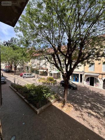 Appartement rénové à vendre à Belley dans l'Ain (01300), ref : 13890/118