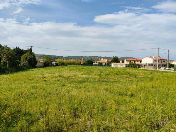 Terrain à vendre de 1 164,00 m² ILLE SUR TET (66)