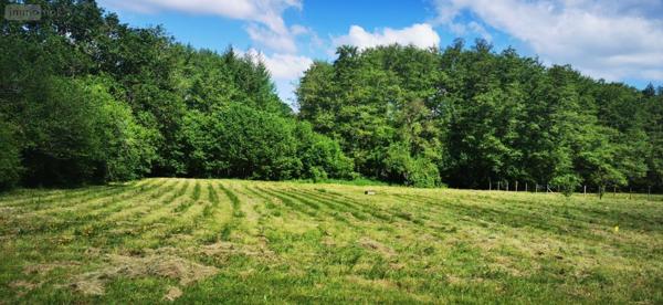 Terrain à Batir à vendre à Bazas en Gironde (33430), ref : 32632-2