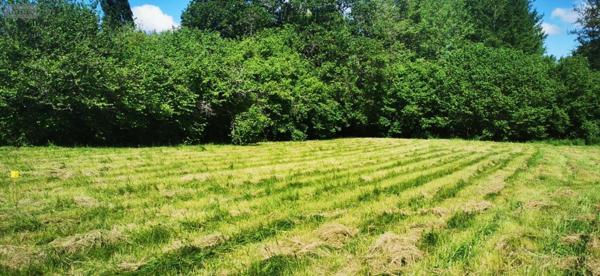 Terrain à Batir à vendre à Bazas en Gironde (33430), ref : 32632-2