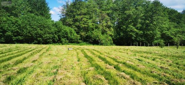 Terrain à Batir à vendre à Bazas en Gironde (33430), ref : 32632-2