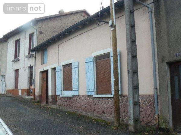 Maison à restaurer à vendre à Raon-l'Étape dans les Vosges (88110), ref : 2252